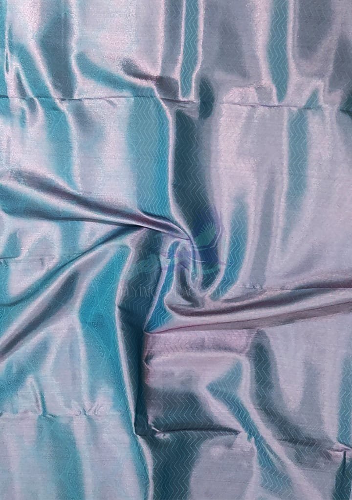 Sky Blue Rose Zari Work Saree